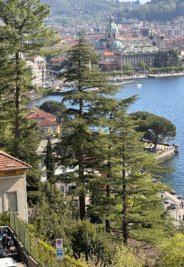 A view on trees, a lake, and in the background a town including a large duomo church.