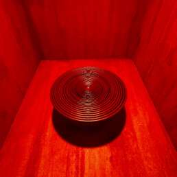 A red object sits surrounded in a red box at the Rossana Orlandi.